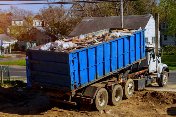 Best Professional Junk Removal  in Solon, IA